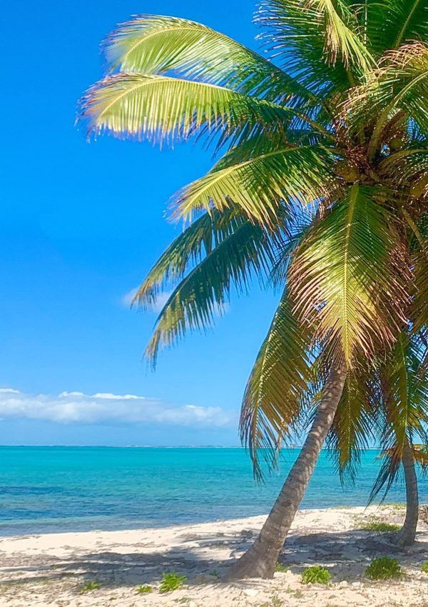 Blue Hills Turks and Caicos