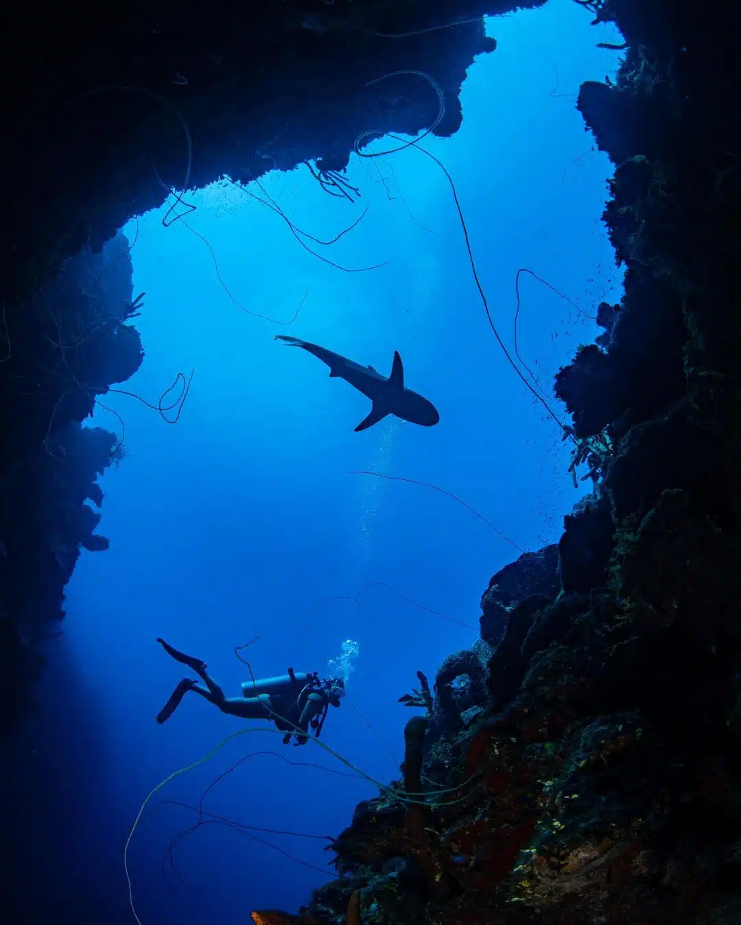 Diving in Turks and Caicos