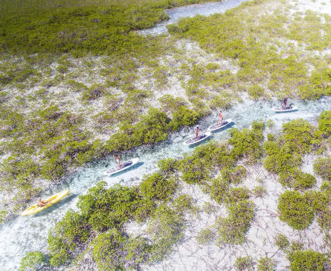 Paddleboarding in the Mangroves in Turks and Caicos