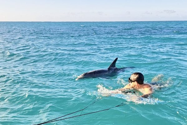 JoJo the Dolphin Swimming with Humans JoJo the Dolphin Swimming with Humans