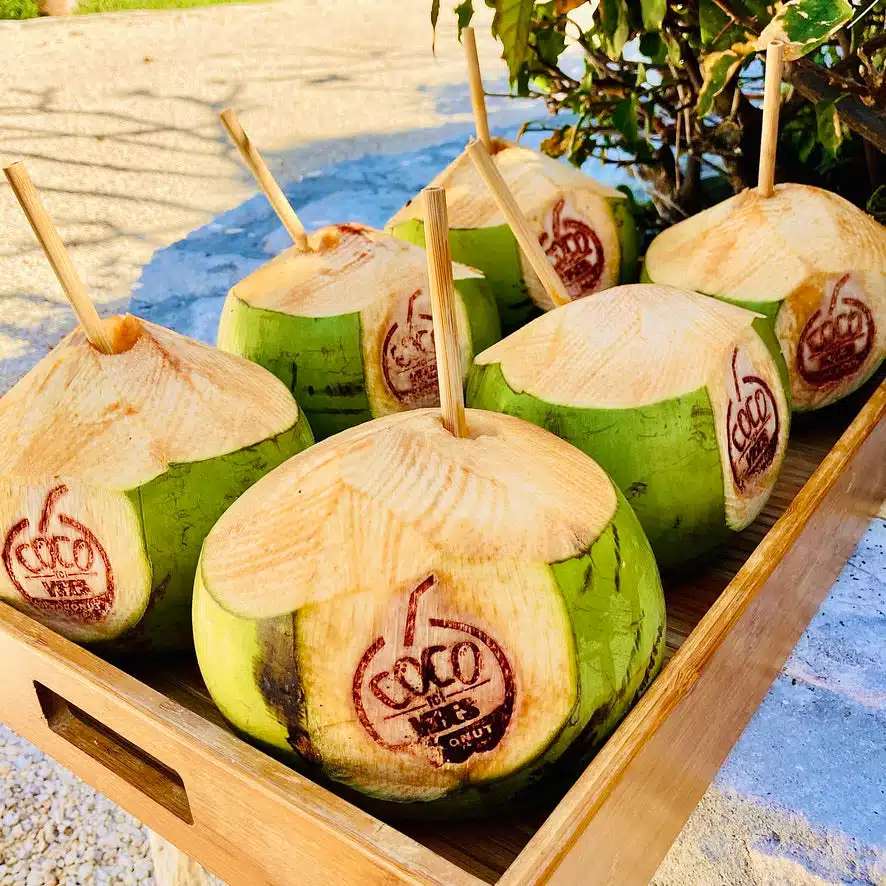 Fresh coconut with straw from coco vibes in turks and caicos