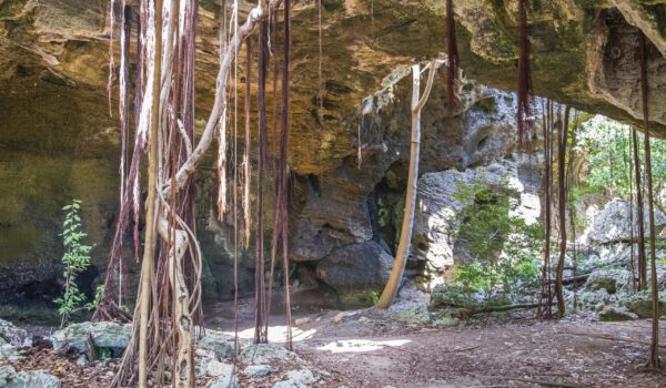 the cave has no entry fee